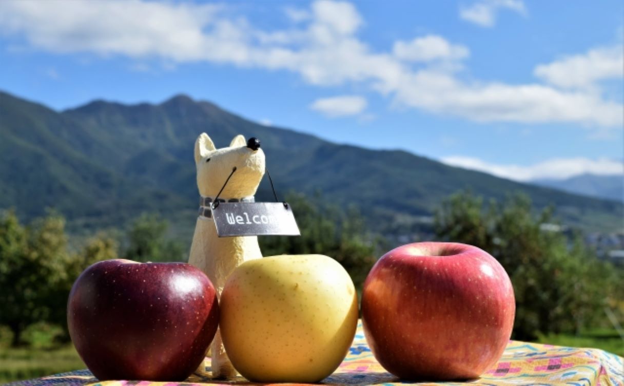 玉井フルーツ-3