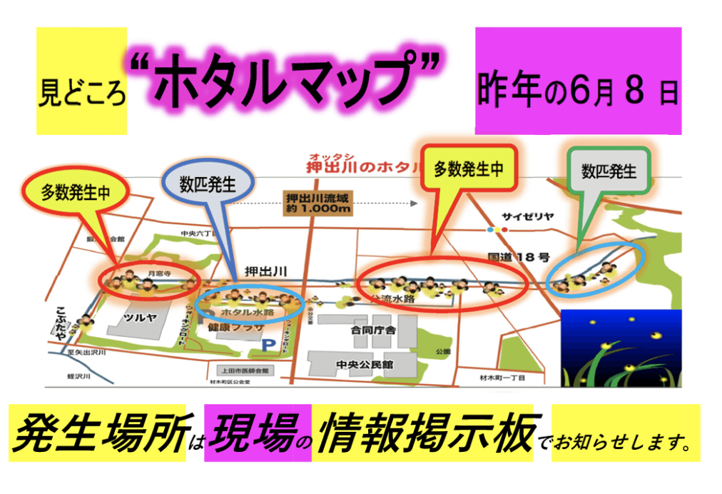 スクリーンショット 2024-06-06 14.51.38
