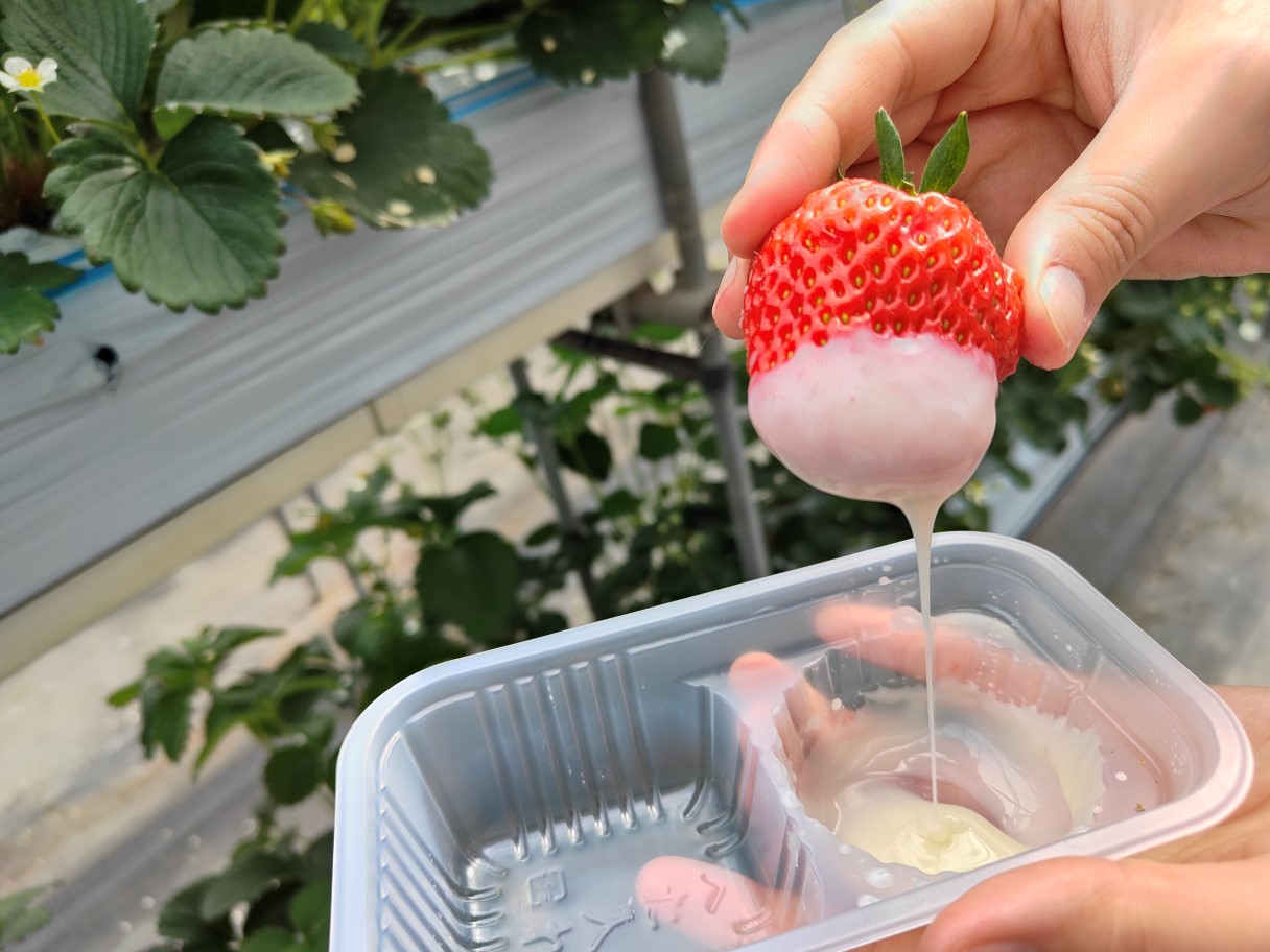 IMG20250207113409 (1)