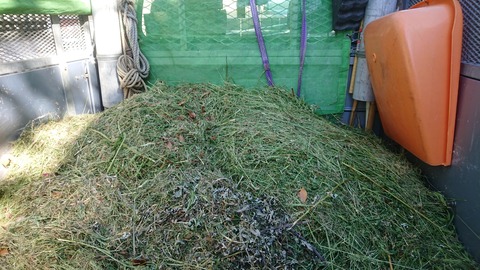 八幡西区 草刈りです 遠賀で業者お探しなら 北九州市 若松区 植木屋 庭師 剪定 伐採 雑草対策 専門業者 造園の藤翔blog