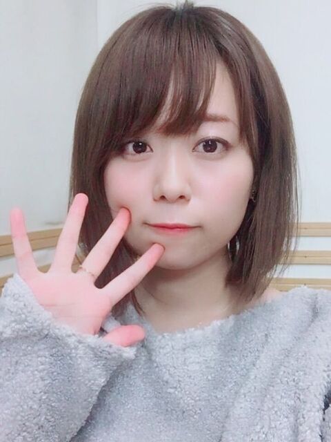 声優 たぬき 声優 たぬきとは Toyoaikomurayla