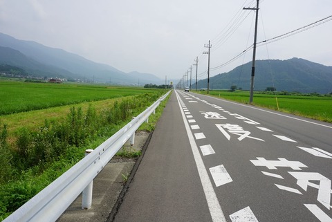 若狭梅街道　直線
