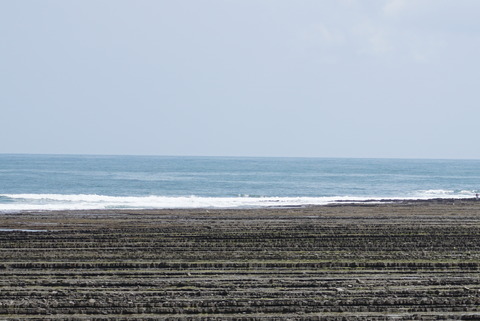 DSC01963