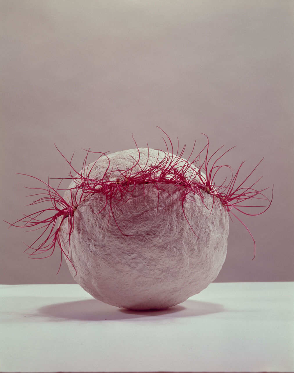 うろたえる紙魚は泳ぐ 当面のテーマ