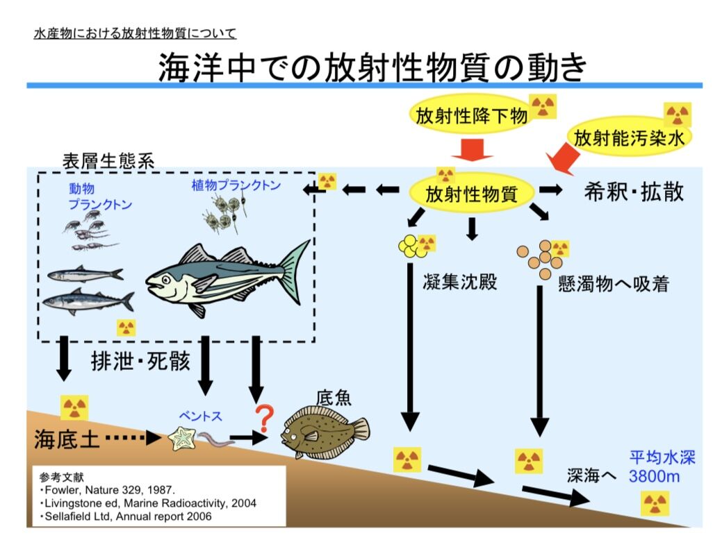 うろたえる紙魚は泳ぐ