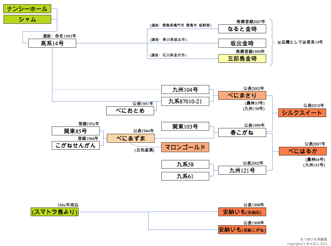 うろたえる紙魚は泳ぐ うろたえる紙魚は泳ぐ