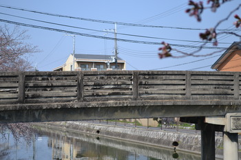 たまこまーけっと巡礼 619 (23)