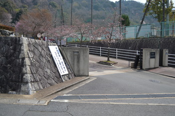 関西遠征 418