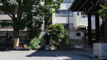 サクラクエスチ 239