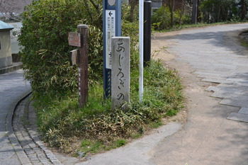 関西遠征 466