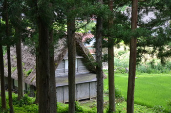 ひぐらし 巡礼 016