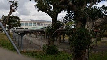 753352ce-s (1)