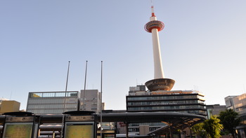 サクラクエスチ 152