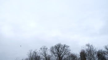 2018-03-23-05-55-51