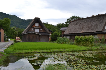 ひぐらし 巡礼 054