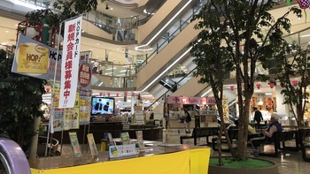 213AB834-1351-4E58-9EA7-ACE64FBD3C4C