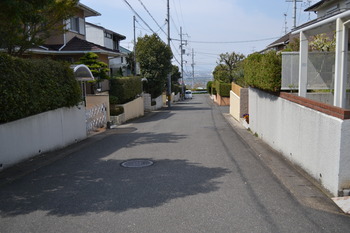 関西遠征 386