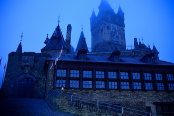 DSC_9006