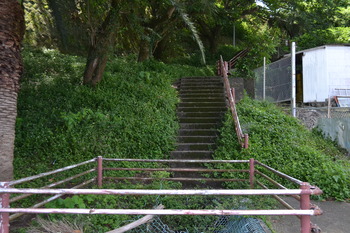 秒5 042