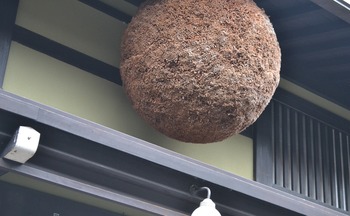 ひぐらし　巡礼 200