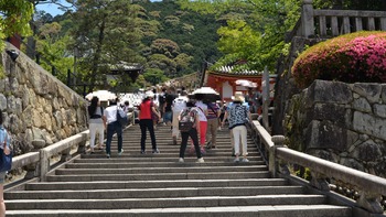 サクラクエスチ 302