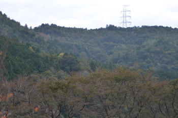 響けユーフォニアム2 249