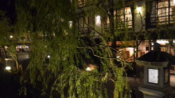 ぼんぼり　2017 198