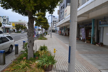 アマガミ　聖地巡礼 010