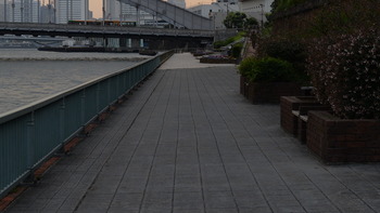 月がきれい 233