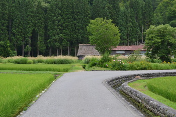 ひぐらし 巡礼 074