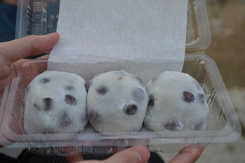 たまこまーけっと巡礼 532 (2)