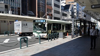 サクラクエスチ 175