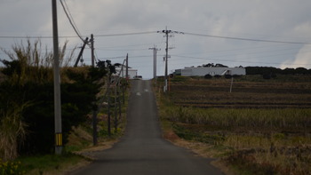 コスモナウト 101