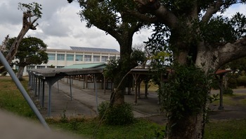 コスモナウト 500
