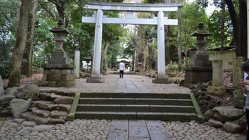 iphpne 017