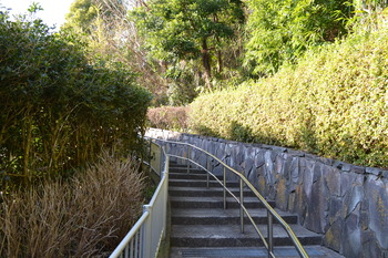 たまゆら もあぐれっしぶ 028