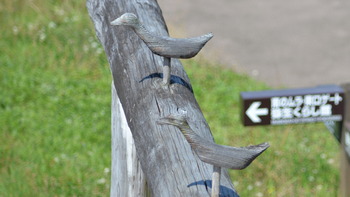 中二病でも恋がしたい！戀 211