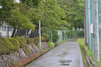 ひぐらし 巡礼 226