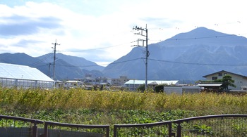 ここさけ　巡礼 039