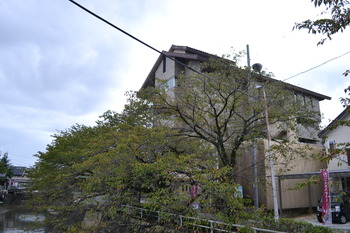 君の名は。 209