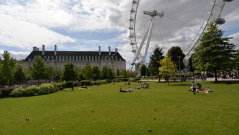 イギリス 254