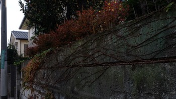 2018-11-28-13-57-12