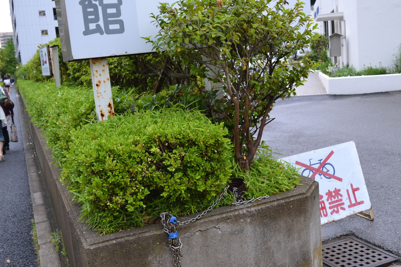 やはり俺の青春ラブコメはまちがっている 続 舞台探訪 聖地巡礼 稲毛海岸 藤横巡礼日記 やはり俺の青春ラブコメはまちがっている 続 舞台探訪 聖地巡礼 稲毛海岸 藤横巡礼日記