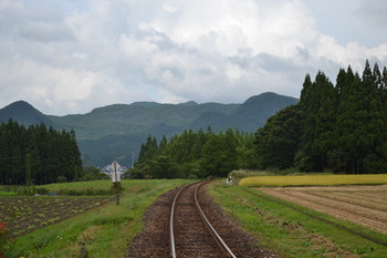 君の名は。 111