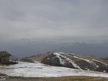 _DSC7697