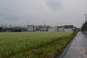 ここさけ　巡礼 023