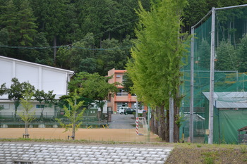 ひぐらし 巡礼 239