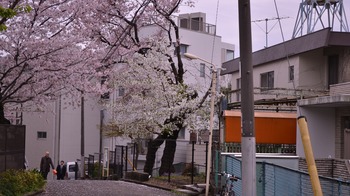 秒5 135