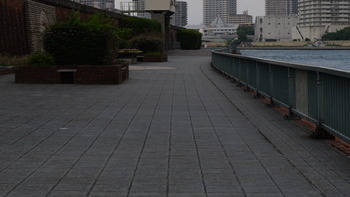 月がきれい 237