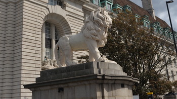 イギリス 239